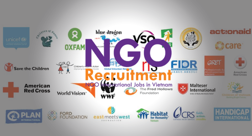 education-and-communication-officer-four-paws-viet-ngo-recruitment